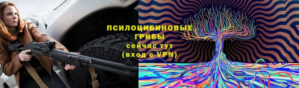 прущая мука Медногорск