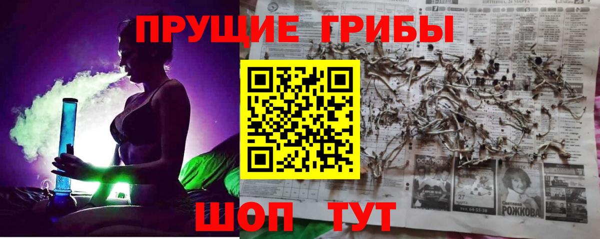 Псилоцибиновые грибы мухоморы Саратов