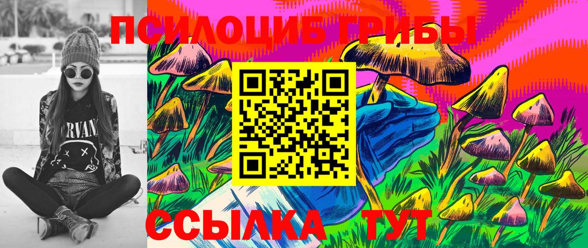 Саратов  Галлюциногенные грибы GOLDEN TEACHER  Вход с VPN  Псилоцибиновые грибы ЛСД 